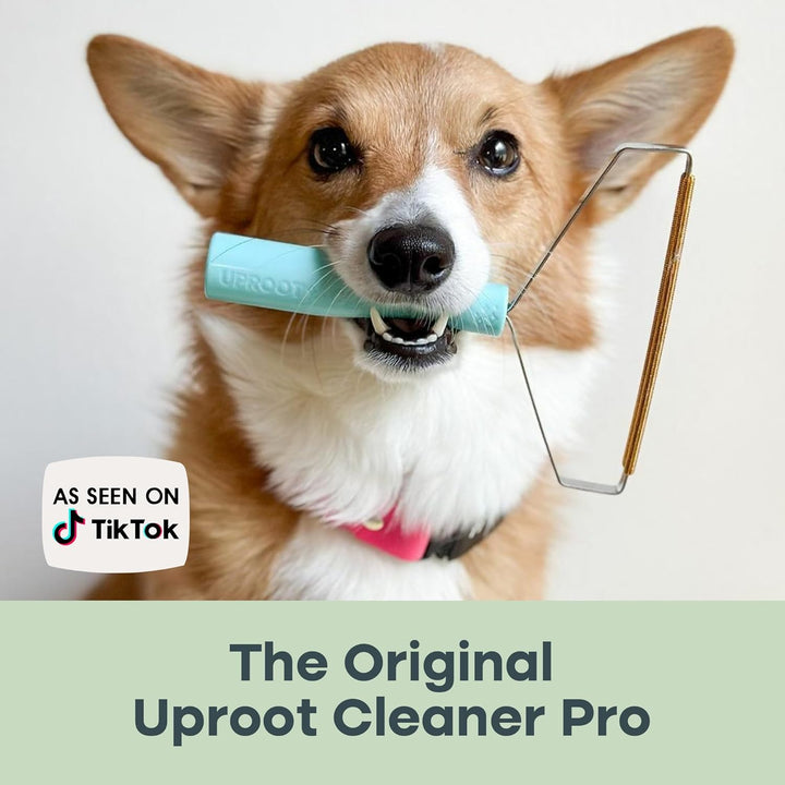 Pro Pet Hair Removal Tool for Dogs & Cats
