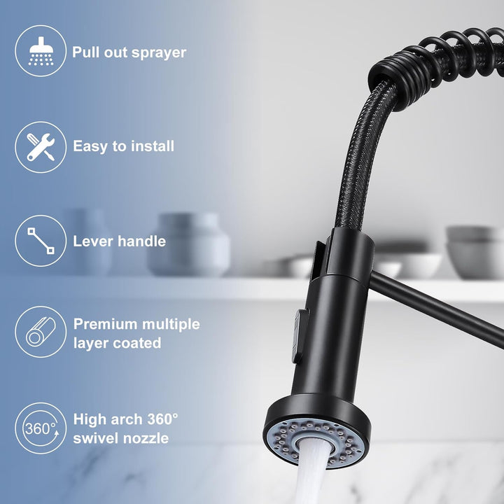 Matte Black Kitchen Faucet with Sprayer