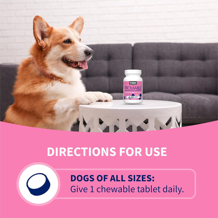 Proviable Dog Probiotics, 60 Tabs