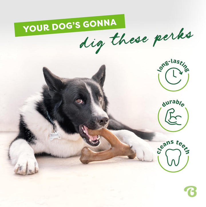 Wishbone Bacon Dog Toy for Aggressive Chewers