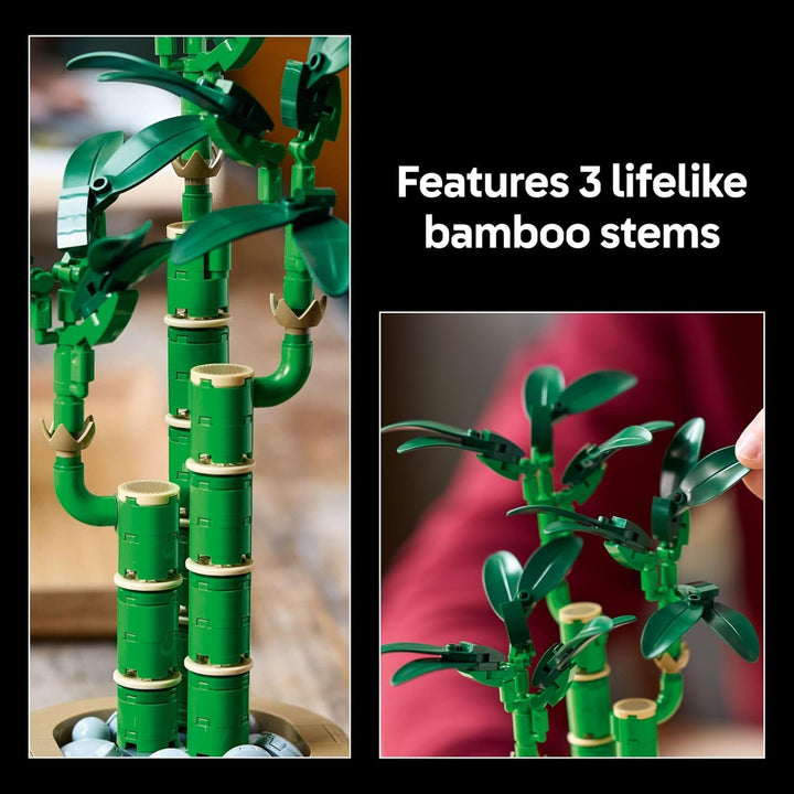 Lucky Bamboo Building Set 