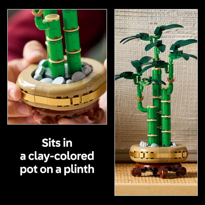 Lucky Bamboo Building Set 