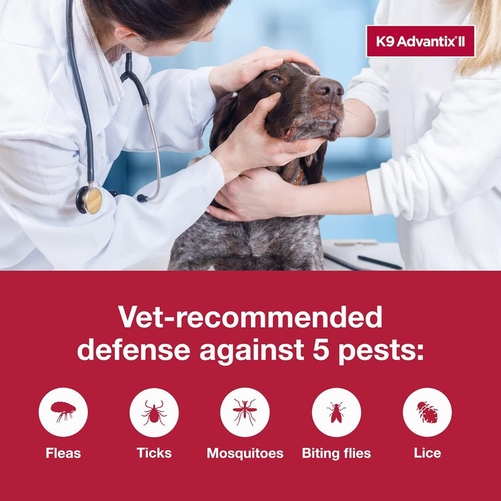 XL Dog Flea & Tick Treatment - 2 Mo