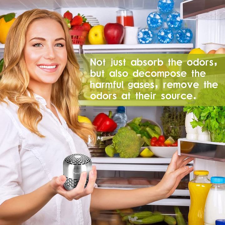 10-Year Bamboo Refrigerator Deodorizer