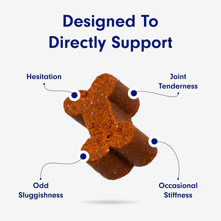 Joint Care Chews for Dogs - 2 Pack