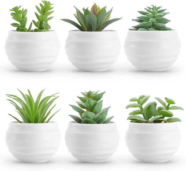 Set of 6 Mini Fake Succulents in Pots