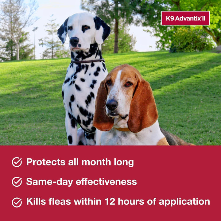 XL Dog Flea & Tick Treatment - 2 Mo
