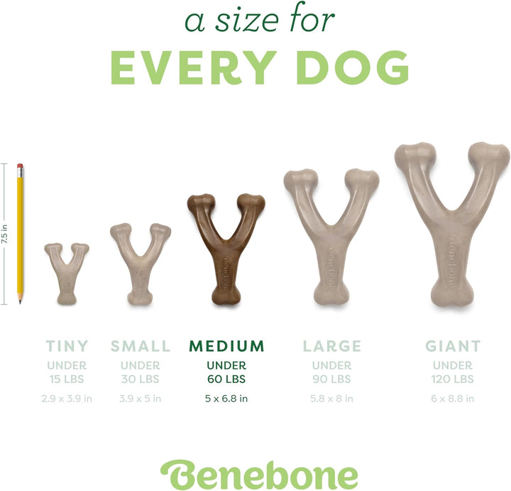 Wishbone Bacon Dog Toy for Aggressive Chewers