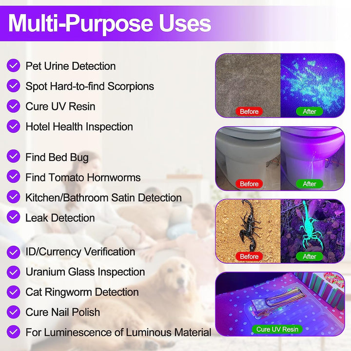 12 LED UV Flashlight for Pet Urine & Stains
