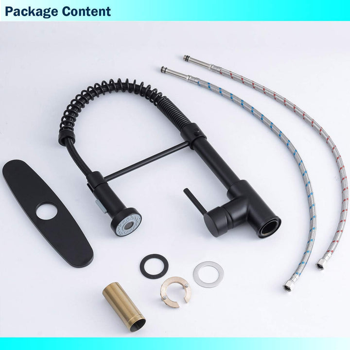 Matte Black Kitchen Faucet with Sprayer