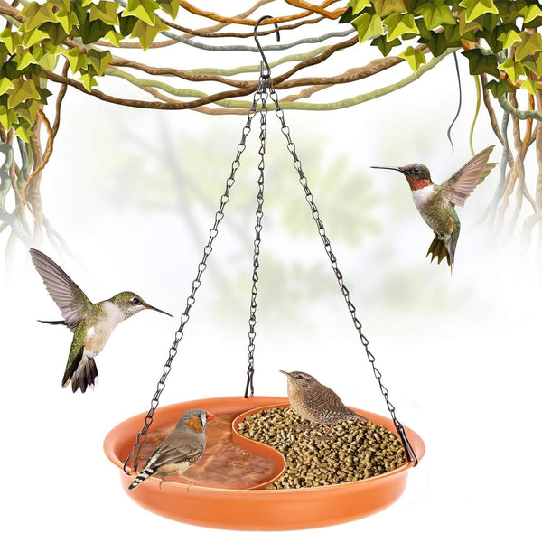 Outdoor Hanging Bird Bath & Feeder