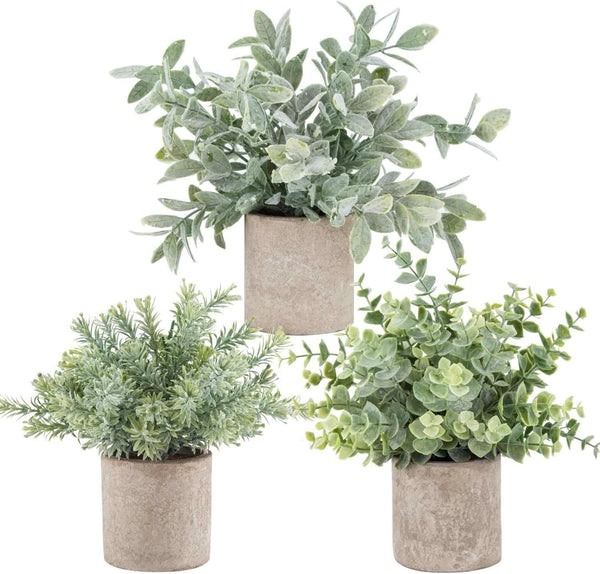 3-Pack Mini Eucalyptus Potted Decor