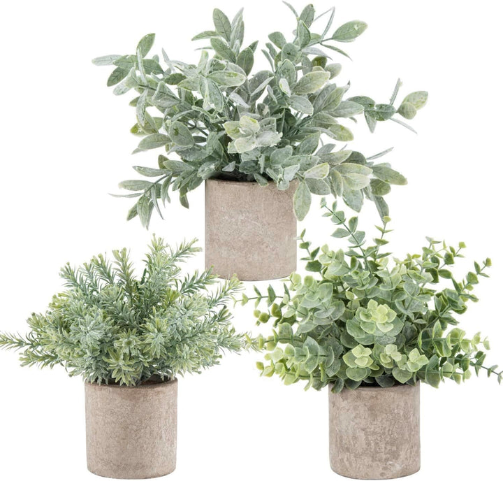 3-Pack Mini Eucalyptus Potted Decor