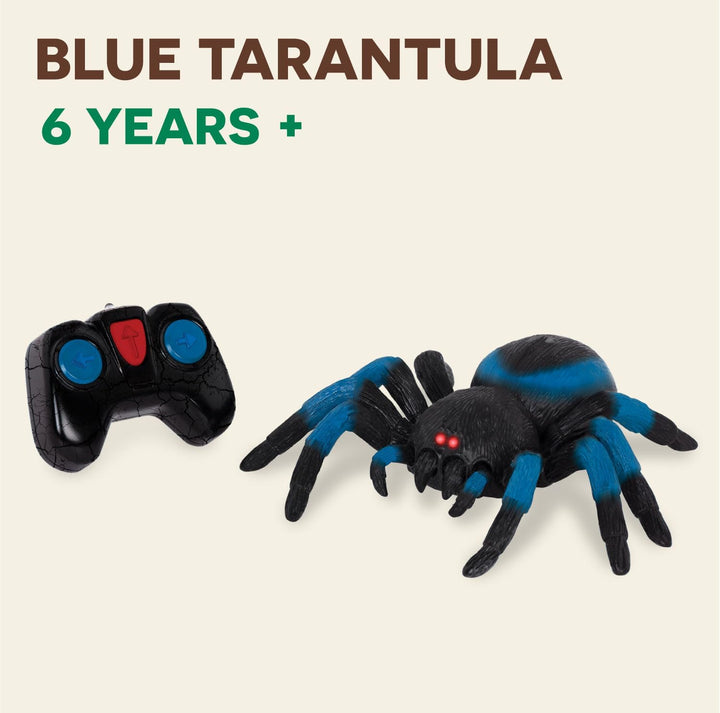 – Remote Control Spider for Kids – RC Tarantula with LED Eyes – Realistic Animal & Moving Legs – Fast-Moving & 360 Spin – Blue Tarantula – 6 Years +