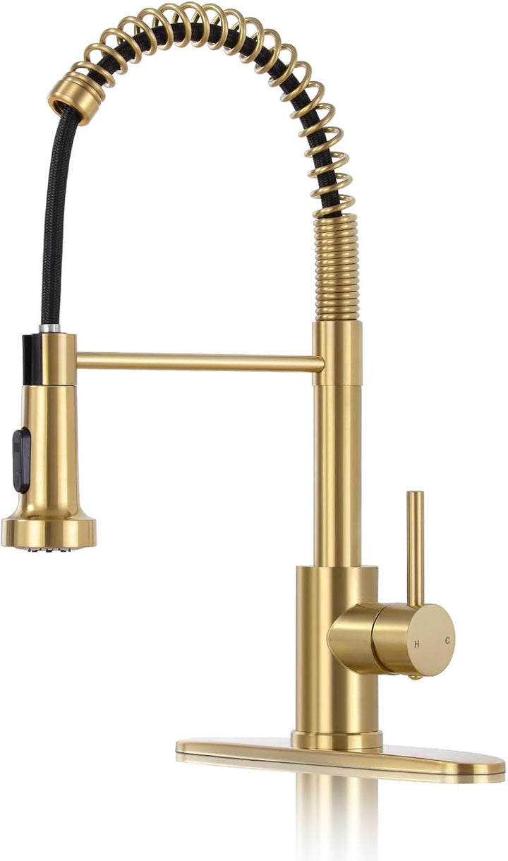 Matte Black Kitchen Faucet with Sprayer