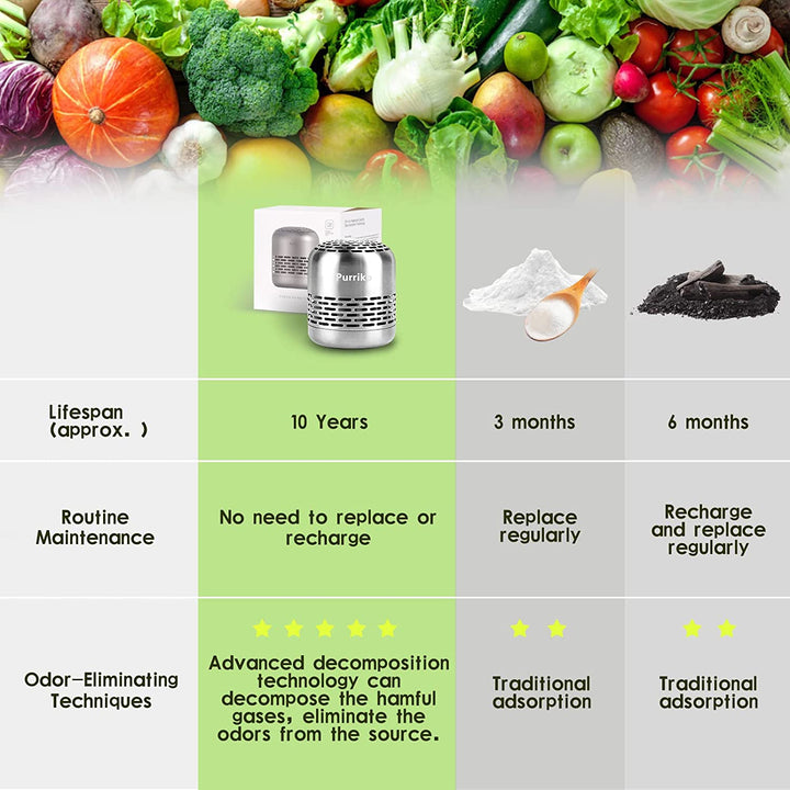 10-Year Bamboo Refrigerator Deodorizer