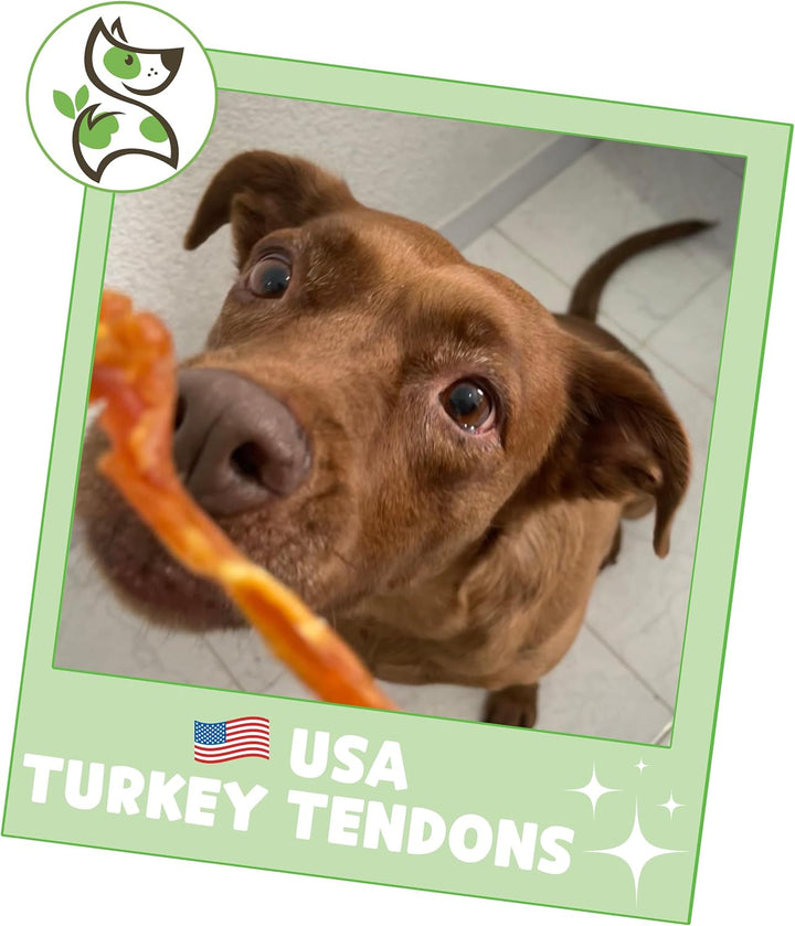 USA Turkey Tendons for Dogs - 4oz