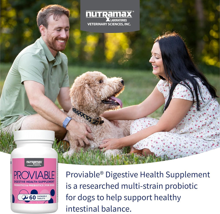 Proviable Dog Probiotics, 60 Tabs