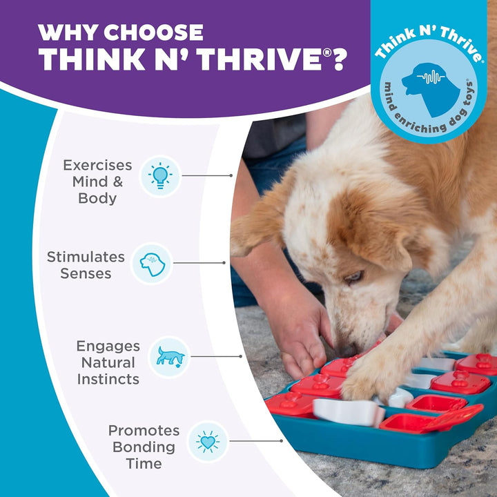by Nina Ottosson Dog Brick Treat Puzzle Enrichment Toy, Level 2 Intermediate Game, Blue