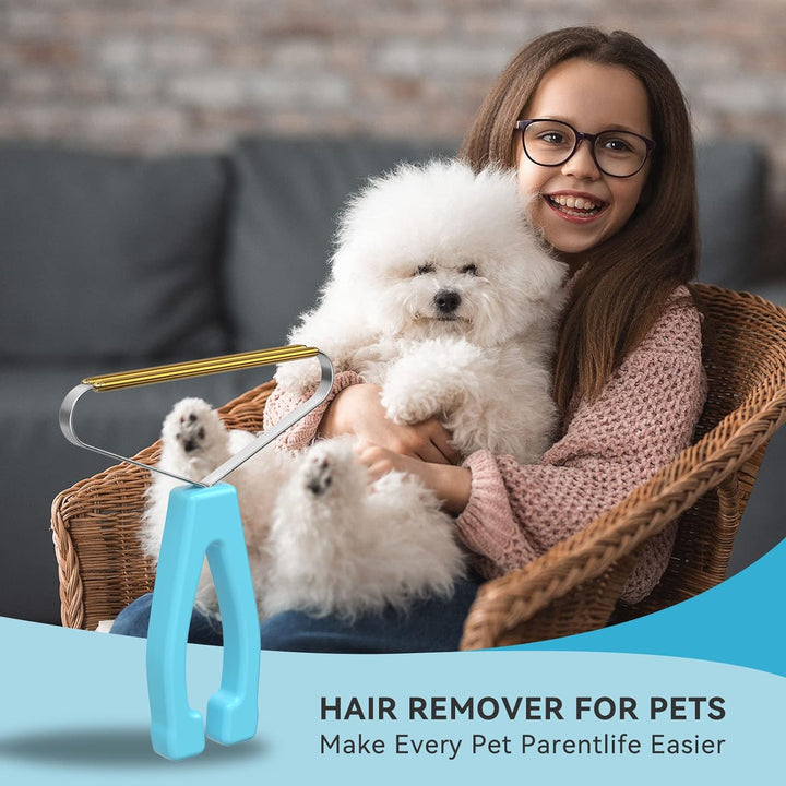 Pet Hair Remover & Lint Brush for Carpets