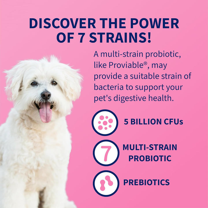 Proviable Dog Probiotics, 60 Tabs