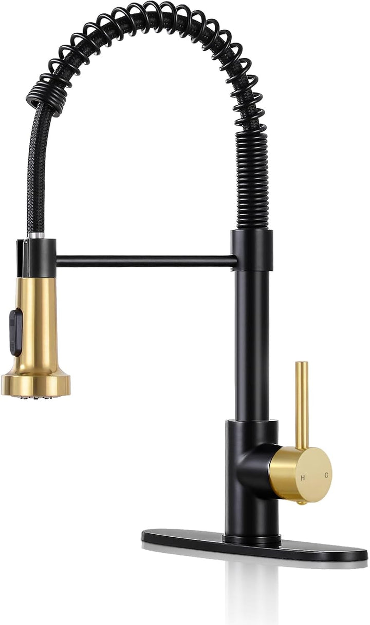 Matte Black Kitchen Faucet with Sprayer