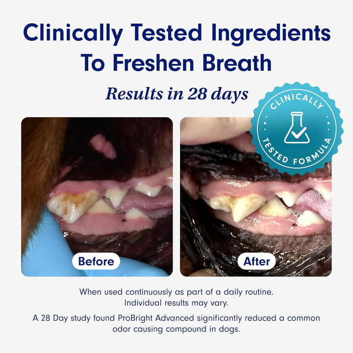 Probright Dog Dental Powder - Freshens Breath