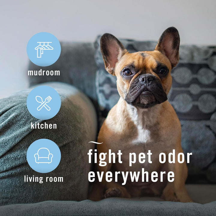 HD Pet Odor Fighter Air Freshener 3-Pack