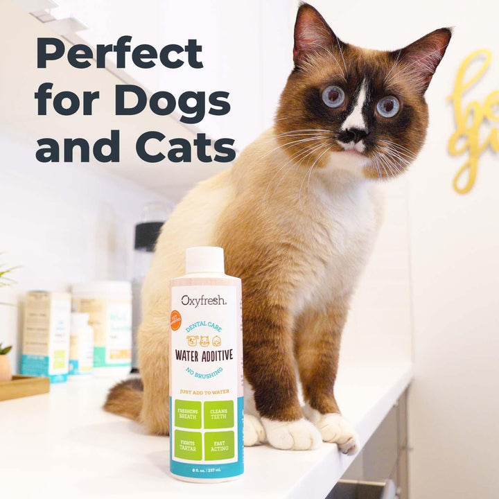 Pet Dental Care Water Additive 16oz
