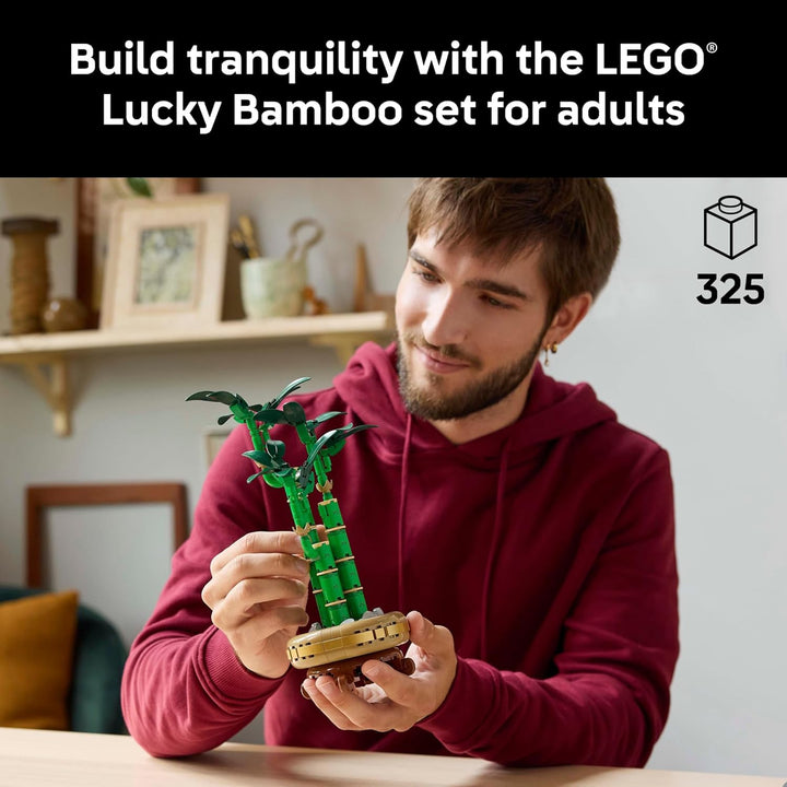 Lucky Bamboo Building Set 