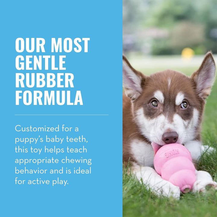 - Puppy Toy Natural Teething Rubber - Fun to Chew, Chase and Fetch - for Small Puppies - Pink