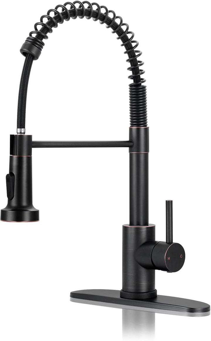 Matte Black Kitchen Faucet with Sprayer
