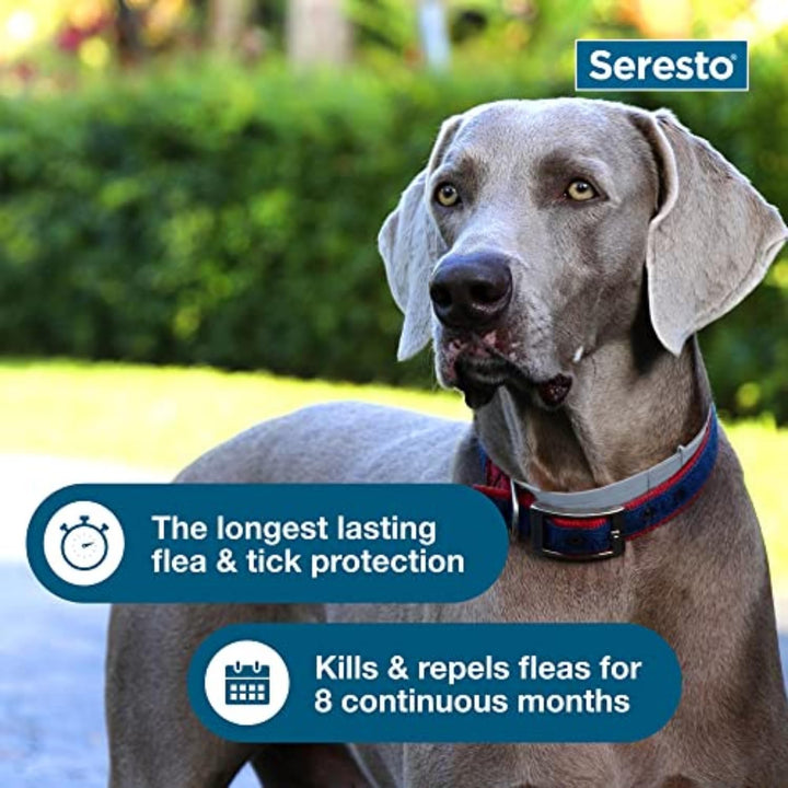 Vet-Recommended Flea & Tick Collar for Dogs