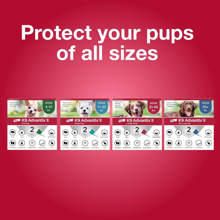 XL Dog Flea & Tick Treatment - 2 Mo