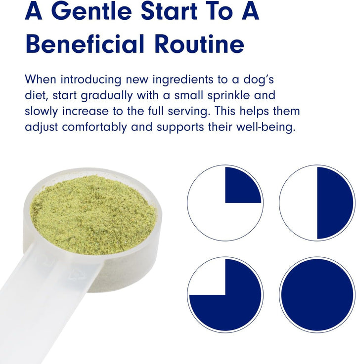 Probright Dog Dental Powder - Freshens Breath