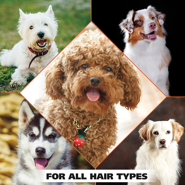 4-in-1 Calming Dog Shampoo - 24 Oz