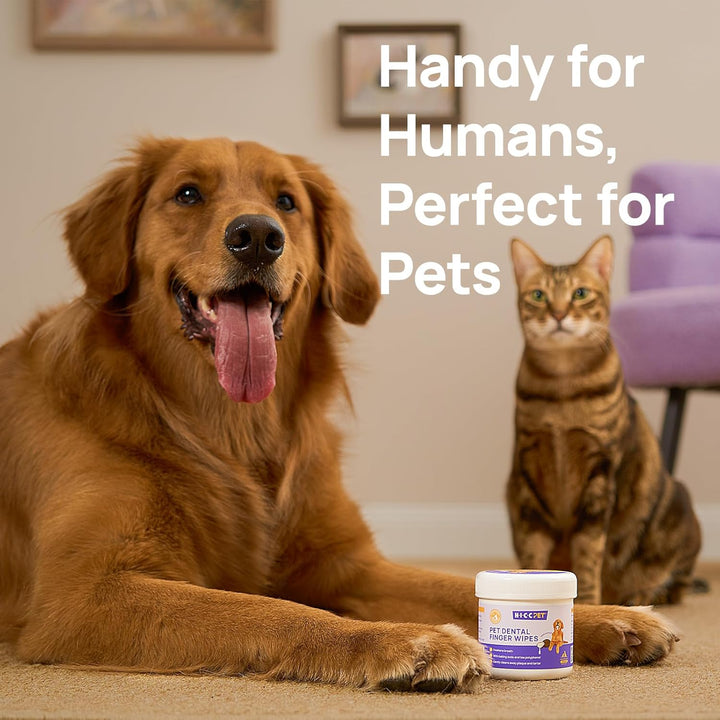 Pet Teeth Cleaning Wipes - 50 Ct