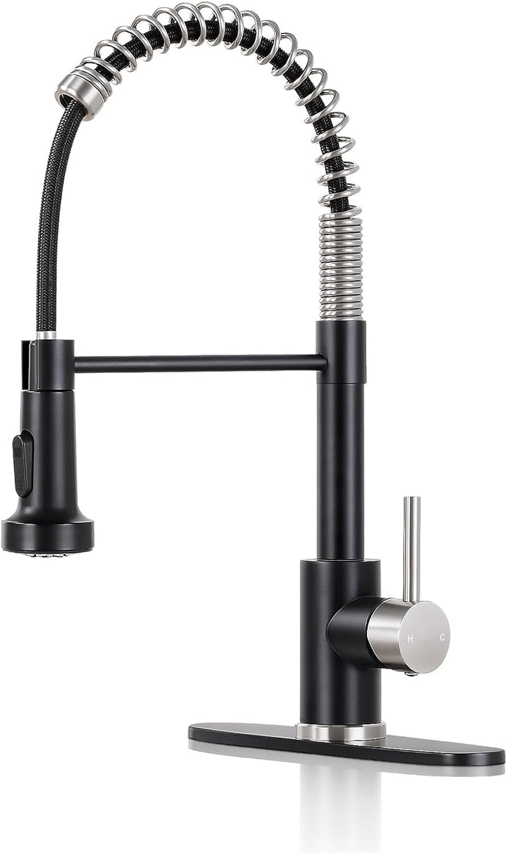 Matte Black Kitchen Faucet with Sprayer