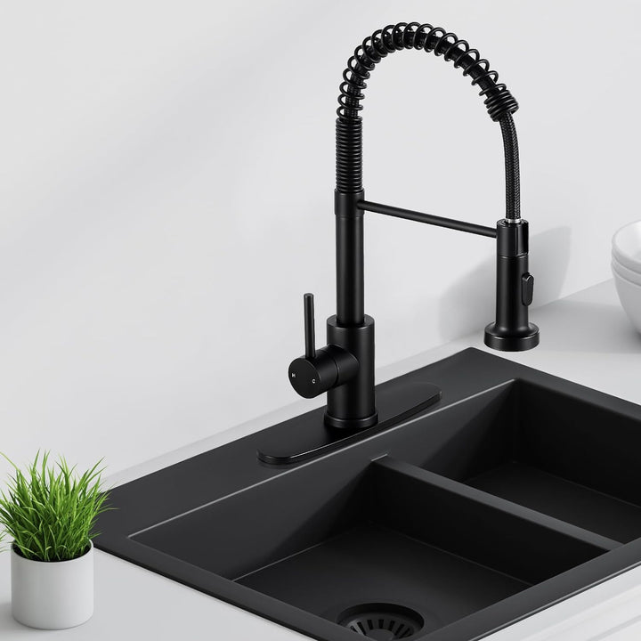 Matte Black Kitchen Faucet with Sprayer