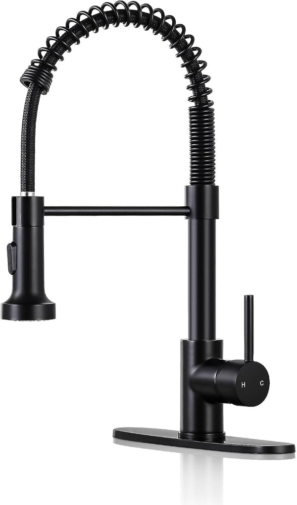Matte Black Kitchen Faucet with Sprayer