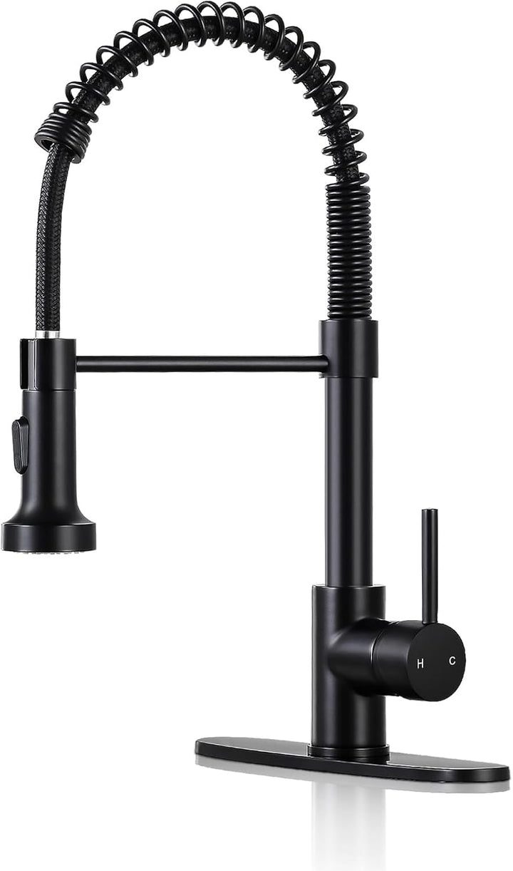 Matte Black Kitchen Faucet with Sprayer