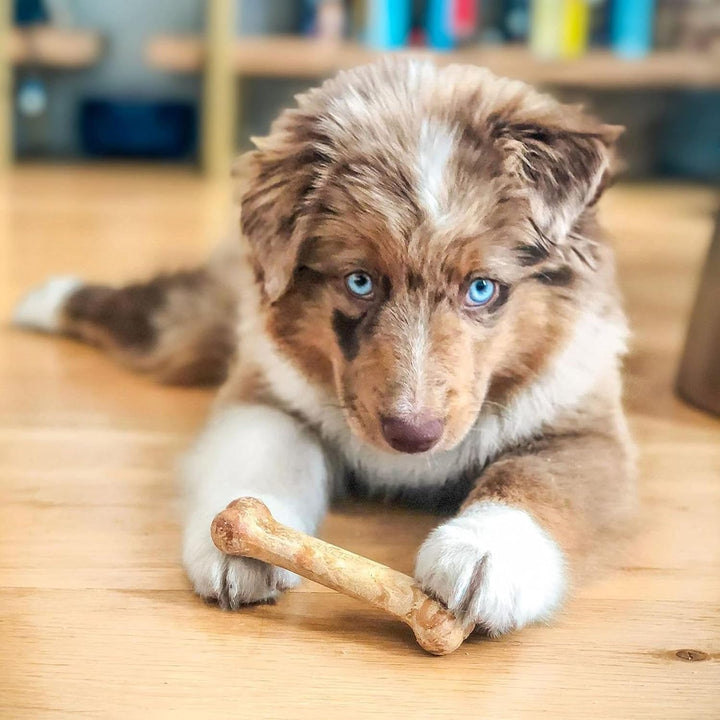Healthy Edibles X-Small Puppy Chews