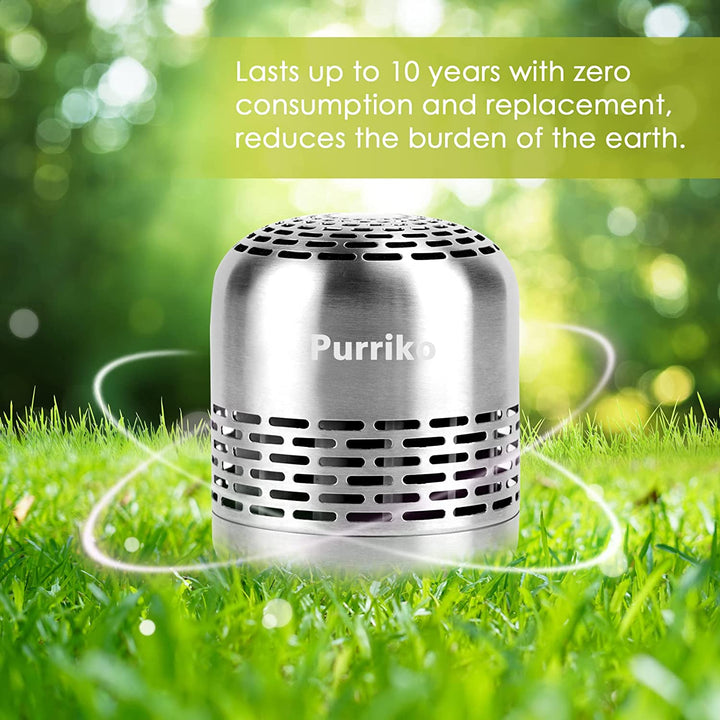 10-Year Bamboo Refrigerator Deodorizer