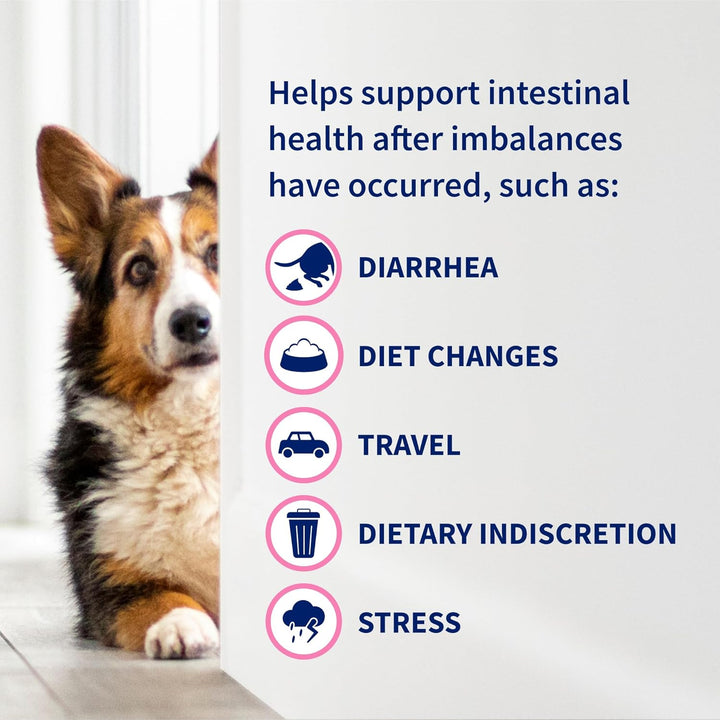 Proviable Dog Probiotics, 60 Tabs
