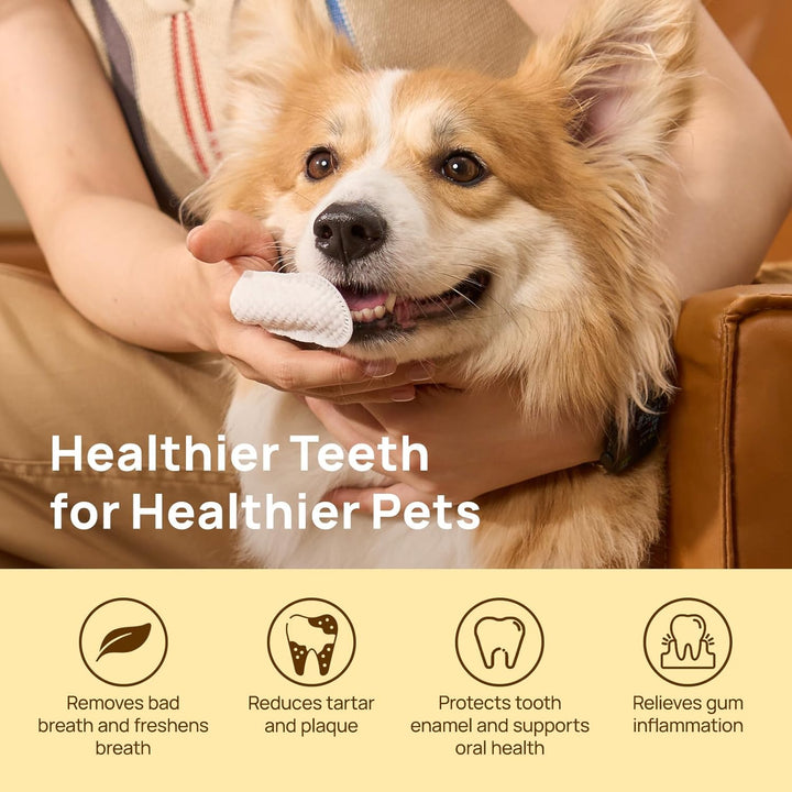 Pet Teeth Cleaning Wipes - 50 Ct
