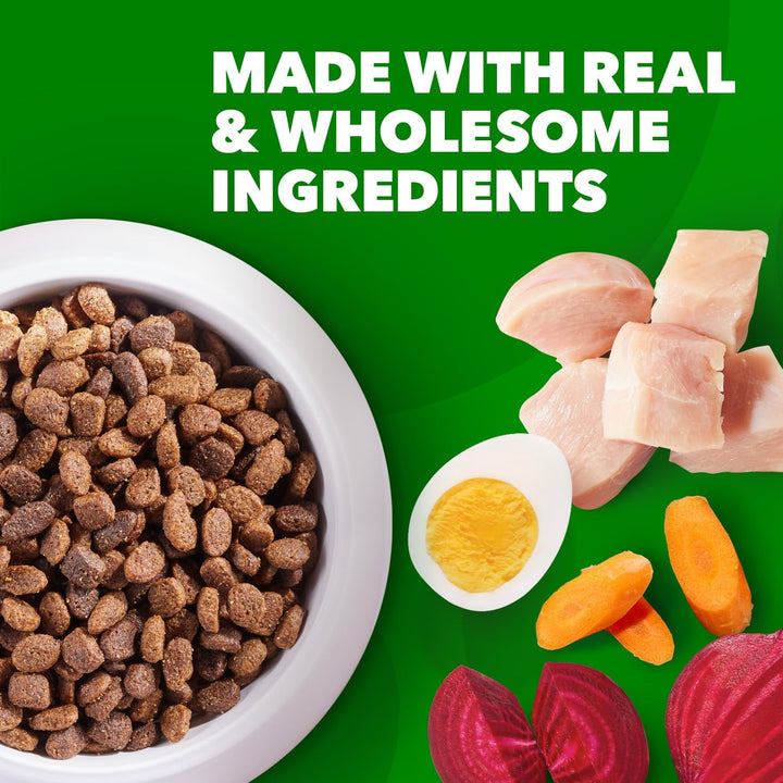 Proactive Minichunks Dog Food 30lb