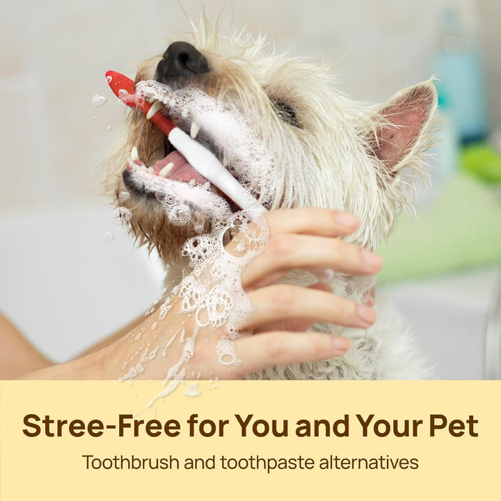 Pet Teeth Cleaning Wipes - 50 Ct