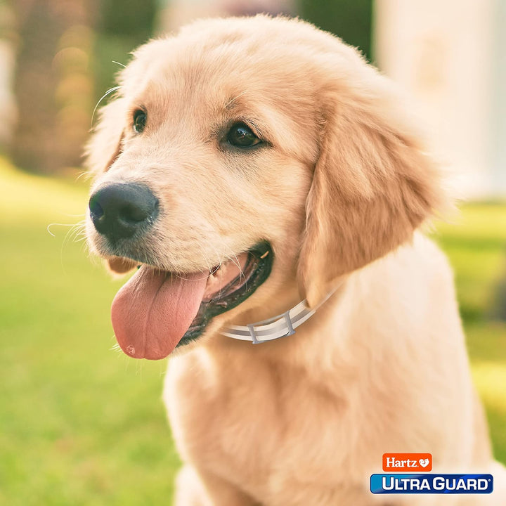 Ultraguard Pro Flea Collar - 7 Mo