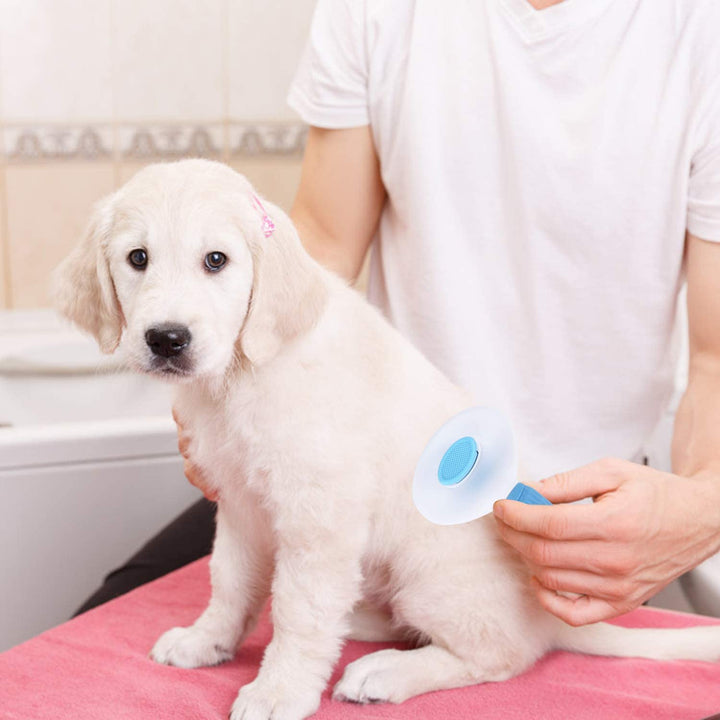 Self-Cleaning Slicker Brush for Pets