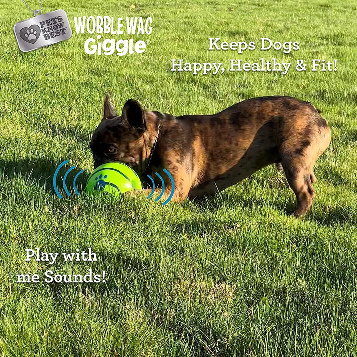 Ball, Interactive Dog Toy, Fun Giggle Sounds When Rolled or Shaken, Pets Know Best, as Seen on TV